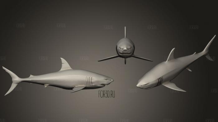 Белая Акула 3d stl модель для ЧПУ